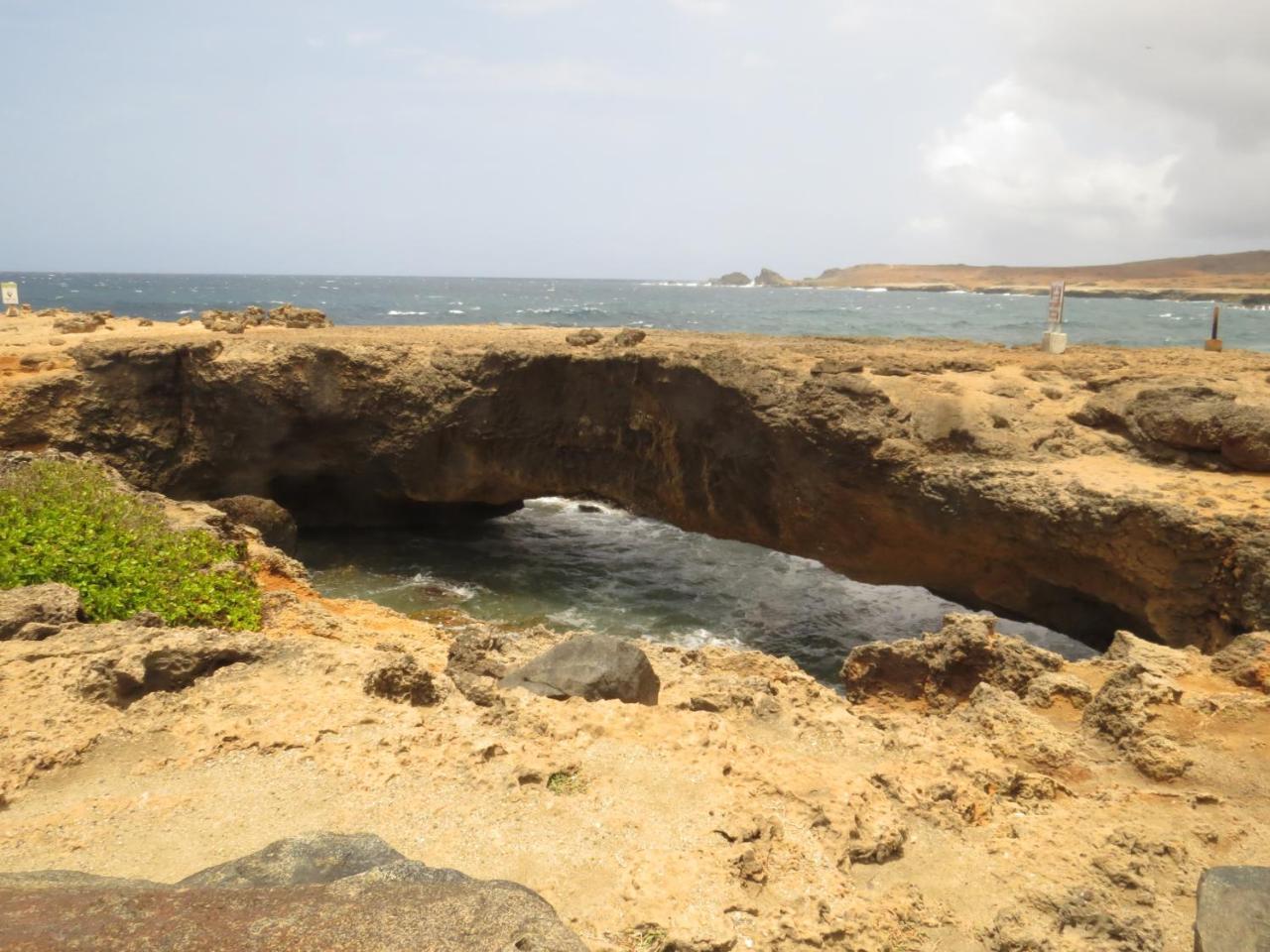 Karibu Aruba Boutique Hotel Palm Beach Zewnętrze zdjęcie